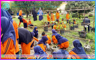 PEMBIBITAN TANAMAN TOGA